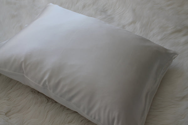 2 Pack Queen Pillow Set